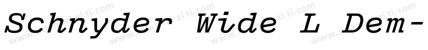 Schnyder Wide L Dem字体转换